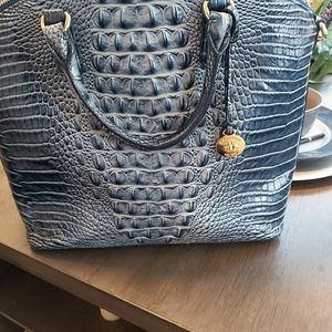 Large Brahmin Duxbury